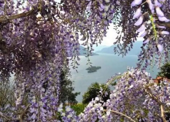 Cresta Bianca By Interhome * Ronco sopra Ascona