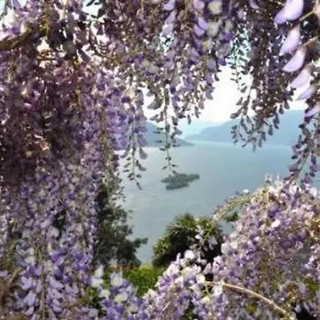 Cresta Bianca By Interhome * Ronco sopra Ascona